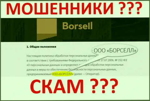 ООО БОРСЕЛЛ - это контора, которая руководит мошенниками Borsell Ru