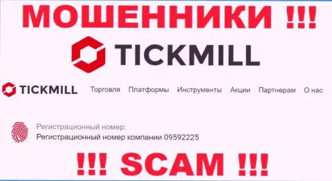 Присутствие номера регистрации у Tickmill (09592225) не говорит о том что компания порядочная