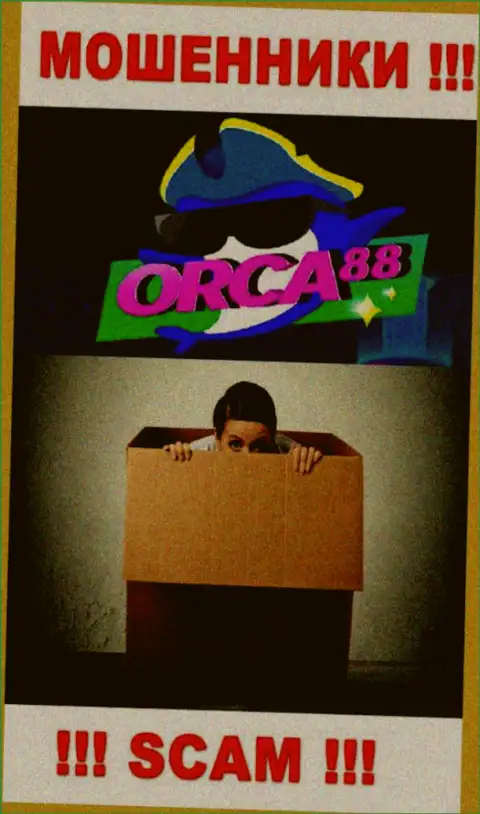 Руководство Orca88 Com засекречено, у них на официальном сайте о себе инфы нет