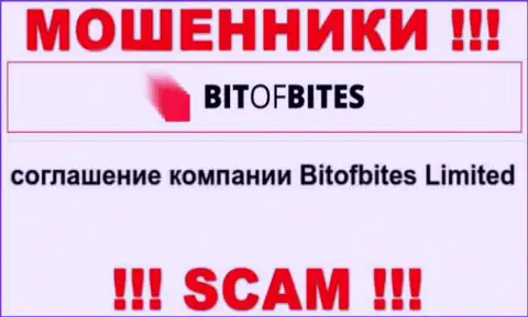 Юридическим лицом, владеющим обманщиками Bit Of Bites, является Bitofbites Limited