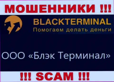 На официальном онлайн-сервисе BlackTerminal Ru отмечено, что юридическое лицо компании - ООО Блэк Терминал