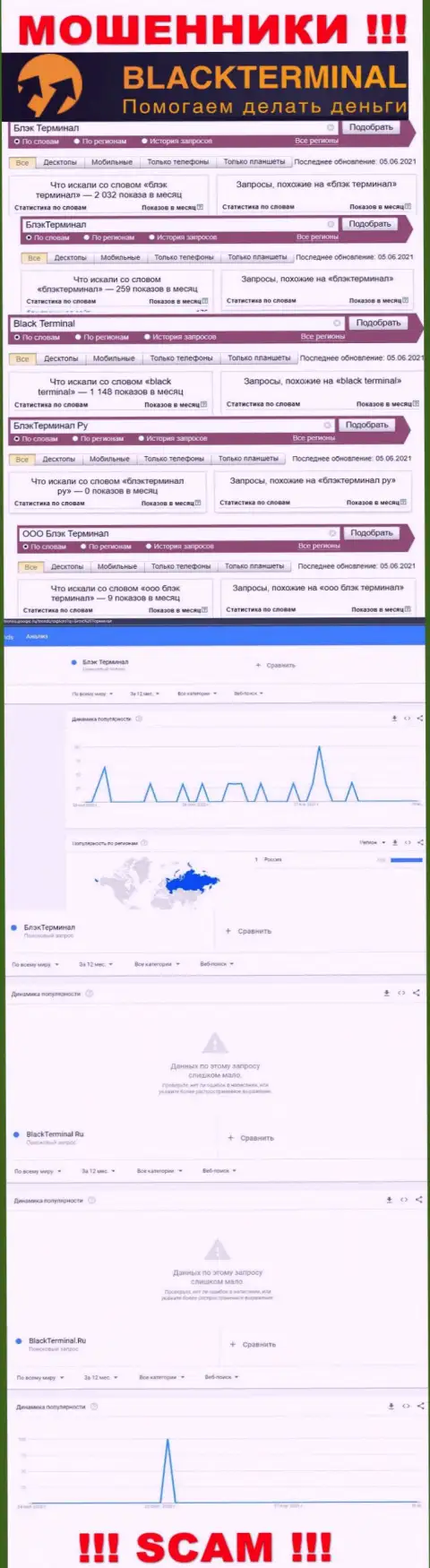 Количество онлайн-запросов информации о шулерах BlackTerminal Ru в глобальной сети