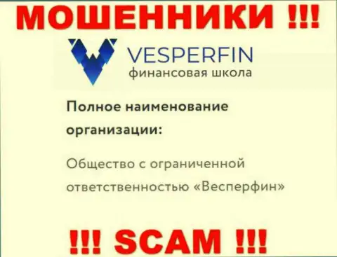 Сведения про юридическое лицо мошенников VesperFin Com - ООО Весперфин, не сохранит Вас от их грязных рук