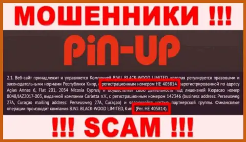 Номер регистрации очередных мошенников всемирной интернет паутины конторы Pin Up Casino: HE 405814