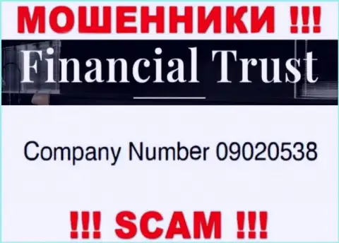 Регистрационный номер мошенников всемирной интернет паутины организации Financial Trust: 09020538