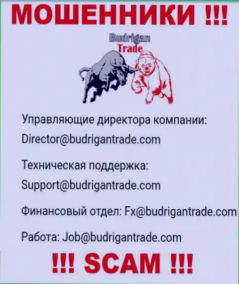Не отправляйте сообщение на e-mail BudriganTrade - internet мошенники, которые отжимают денежные вложения лохов