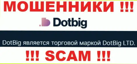 Dot Big - юридическое лицо интернет-обманщиков контора DotBig LTD