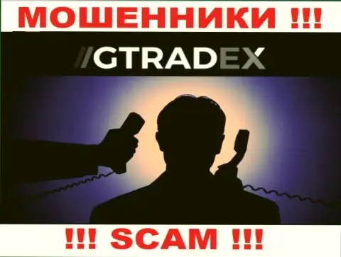 Инфы о прямых руководителях мошенников GTradex Net в сети internet не получилось найти