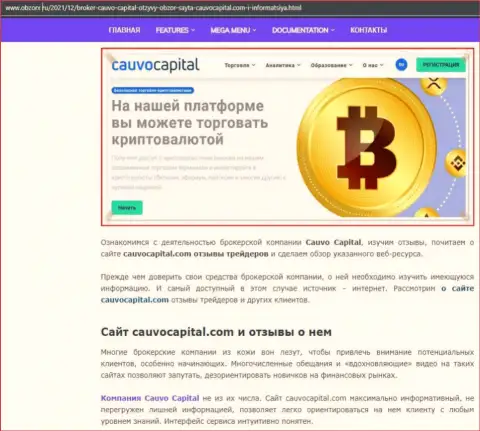 О положительных моментах Форекс-дилера Cauvo Capital на портале obzorx ru