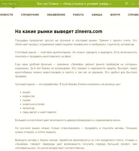 Финансовые инструменты, которые предлагаются организацией Zinnera в статье на web-ресурсе Tvoy Bor Ru
