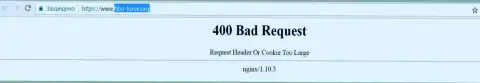 Официальный интернет-сервис брокерской компании Фибо Форекс несколько суток заблокирован и показывает - 400 Bad Request (ошибка)