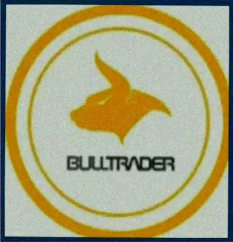 BullTraders - это форекс организация международного уровня